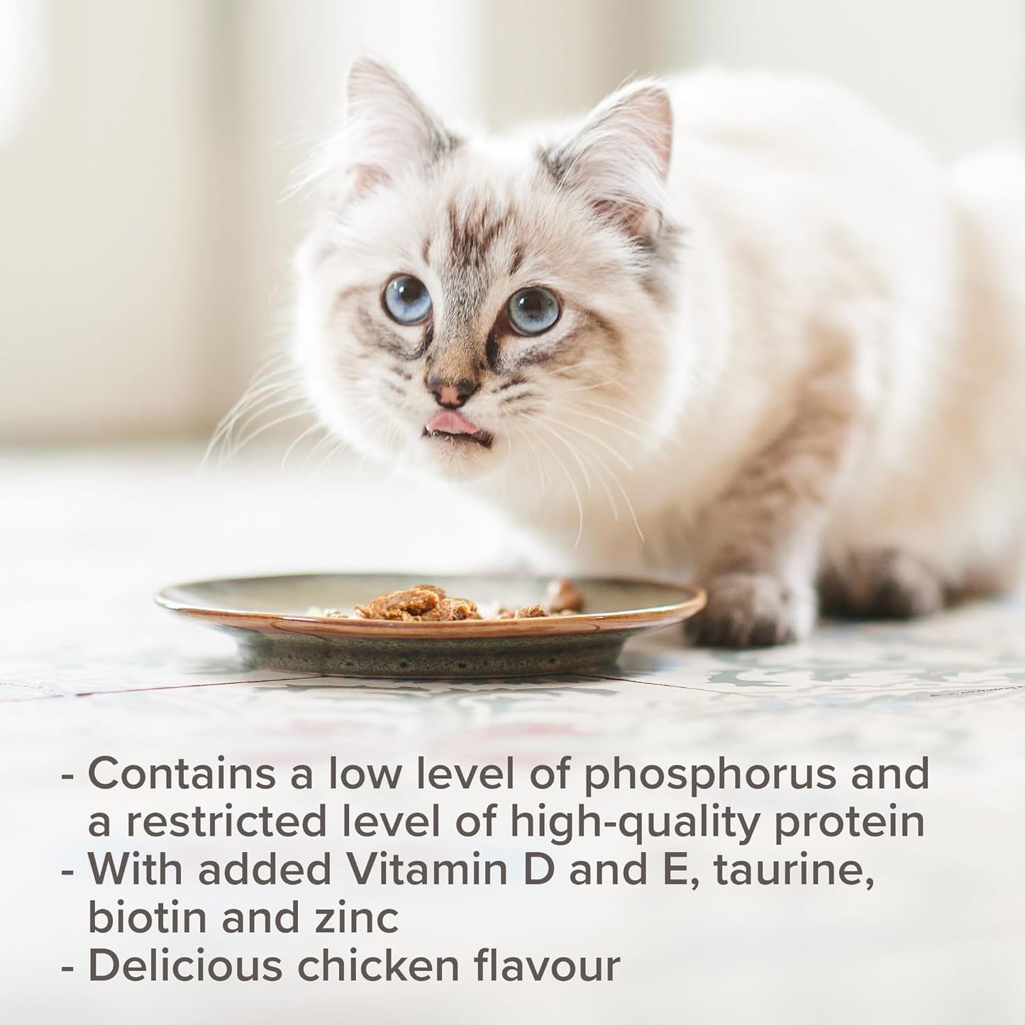 Beaphar Kidney Diet Chicken 100gm