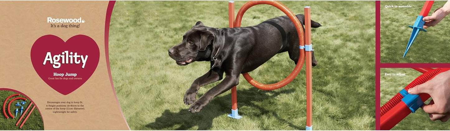 Agility Hoop Jump