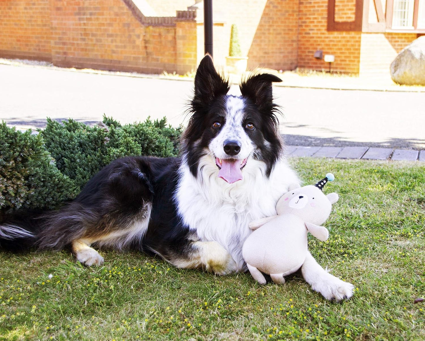 Pippa Party Bear