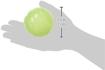 Glow in the Dark Squeaky Ball