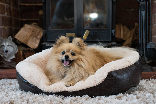 Premium Faux Leather Oval Dog Bed