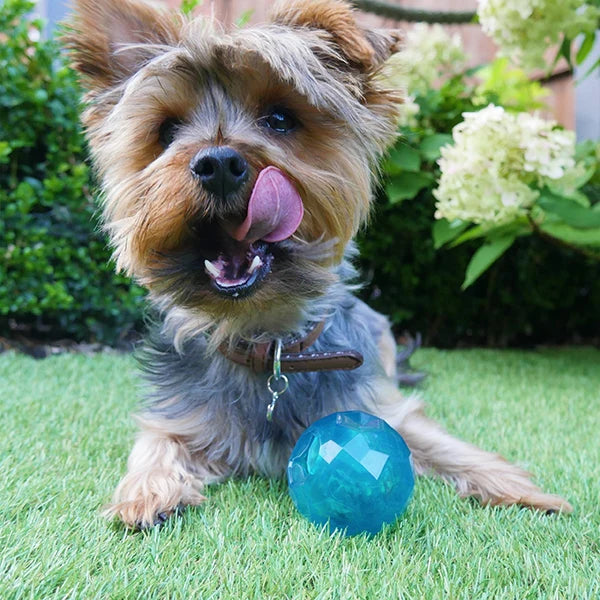 BioSafe Puppy Treat Ball Blue