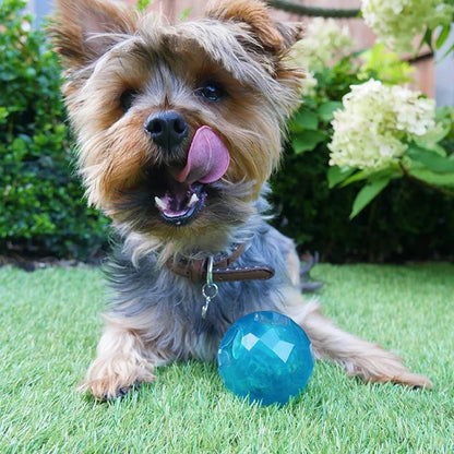 BioSafe Puppy Treat Ball Blue