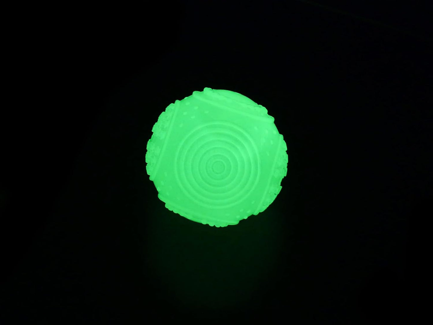 Glow in the Dark Squeaky Ball