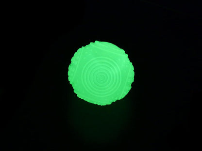 Glow in the Dark Squeaky Ball