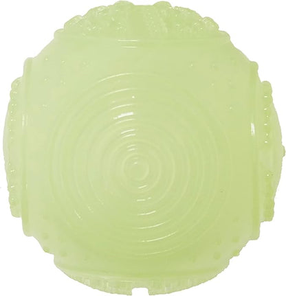 Glow in the Dark Squeaky Ball