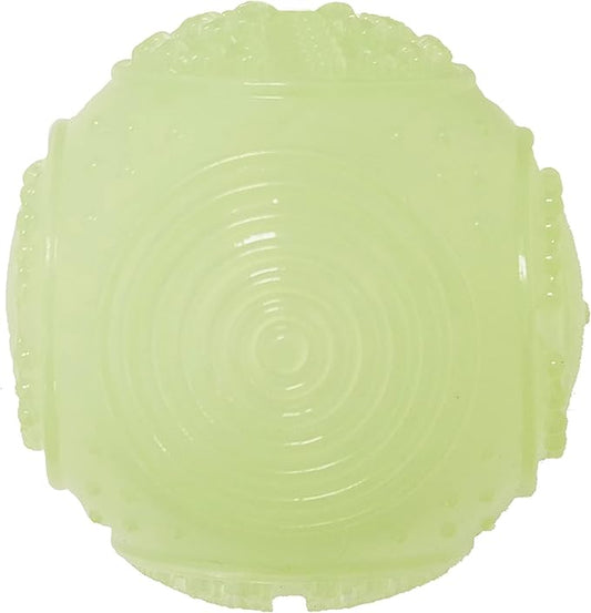 Glow in the Dark Squeaky Ball