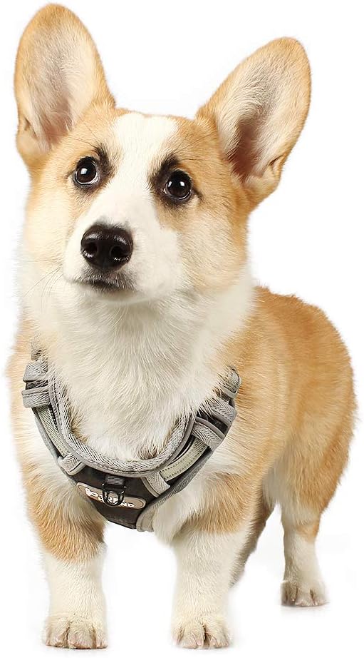 Tuff Hound Black-Grey Harness