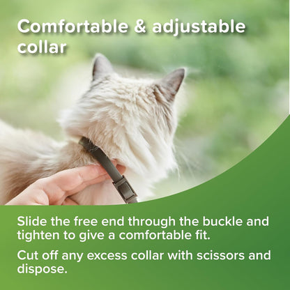 Beaphar Veto Pure Flea and Tick Collar for Cat, Green