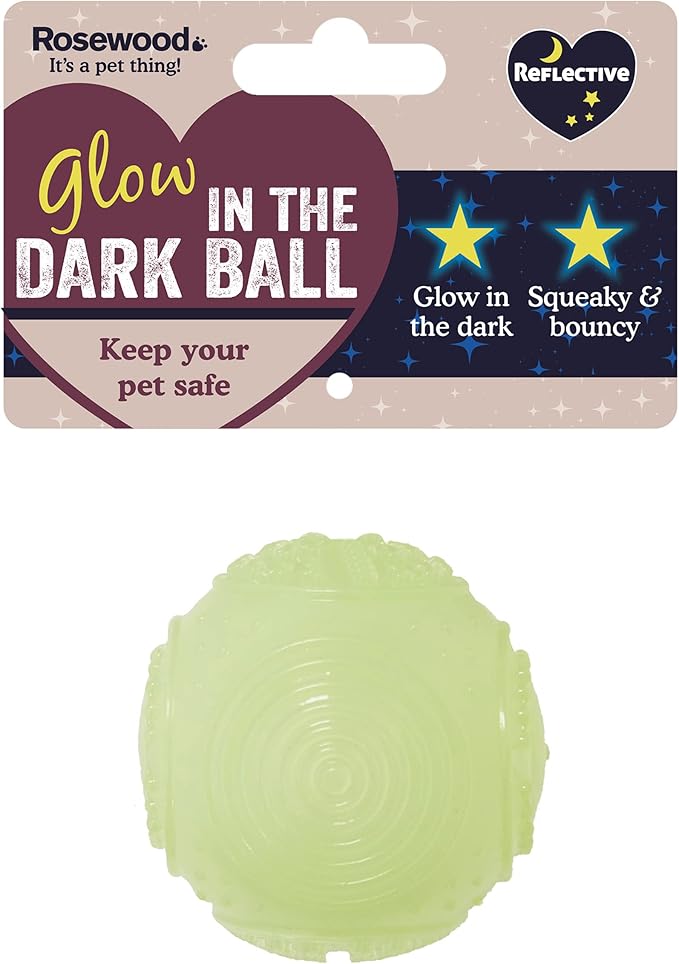 Glow in the Dark Squeaky Ball