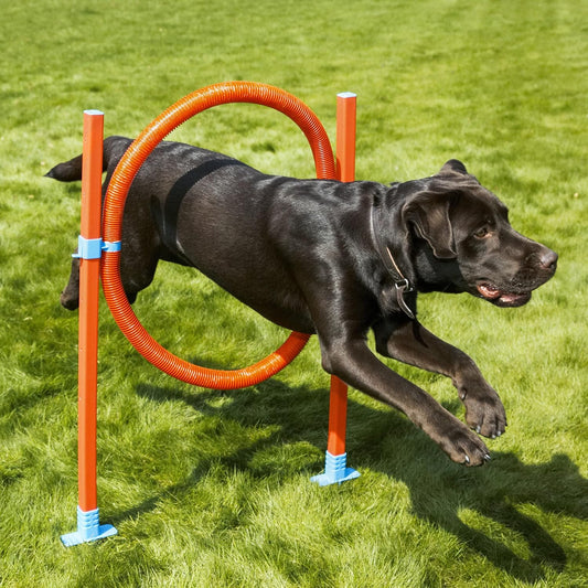Agility Hoop Jump