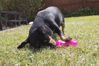 Bio-Safe Puppy Treat Dumbbell Pink