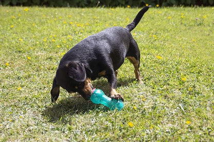 Bio-Safe Puppy Treat Dumbbell Blue