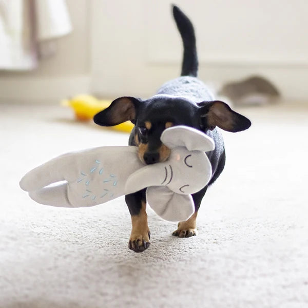 Eco Friendly Elephant